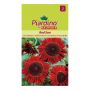 Piardino blomsterfrø solsikke Red Sun 