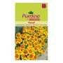 Piardino blomsterfrø fløjlsblomst Pascal 