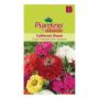 Piardino blomsterfrø frøkenhat Zinna California Giantsmix