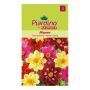 Piardino blomsterfrø dahlia Mignon