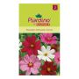 Piardino blomsterfrø stolt kavaler mix