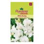 Piardino blomsterfrø ærteblomst White Ensing 