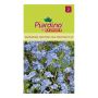 Piardino blomsterfrø forglemmigej Alpine