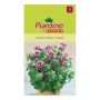 Piardino krydderurtefrø oregano