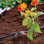 Gardena rækkedrypvander Micro-Drip 10 stk.