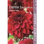 Kapiteyn blomsterløg dahlia Decorativ Red 1 stk.