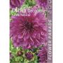 Kapiteyn blomsterløg dahlia Decorativ Purple 1 stk.