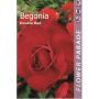 Kapiteyn blomsterløg begonia Double Red 1 stk. 