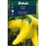 Weibulls grøntsagsfrø paprika Lemon Dream 