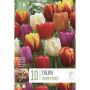 Kapiteyn blomsterløg tulipan Triumph Mixed 10 stk. 