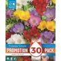 Kapiteyn blomsterløg fresia Mix promo 30 stk. 