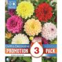 Kapiteyn blomsterløg dahlia promo Decorative mix 3 stk. 