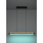 Eglo Kokomo-z pendel LED dæmpbar RGBTW sort/træ 99 cm 
