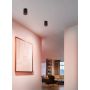 Eglo Carosso-Z loftlampe GU10 RGB 2700-6500K dæmpbar sort Ø8 cm