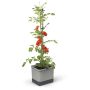 Garden Life krukke Tom Tomato m/selvvanding