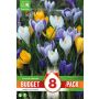 Kapiteyn blomsterløg krokus Mixed Colours budget 8 stk. 