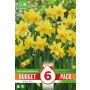 Kapiteyn blomsterløg påskelilje Narcissus tete a tete budget 6 stk. 