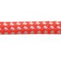 Robline dinghy control 4mm hvid/orange
