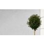 Sadolin facadegrunder 2,5 L