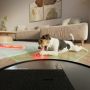 iRobot robotstøvsuger Roomba Combo Plus 415 sort