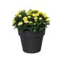 Elho Urtepotte Green Basics Top Planter sort Ø23-47 cm