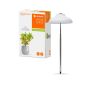 Ledvance LED-plantelampe Indoor Garden Umbrella USB 5 W Ø11 cm