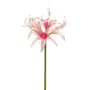 Emerald kunstig snitblomst Amaryllis Spider pink 73 cm 