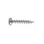 Spunskrue med torx Panh 6,0x60 mm