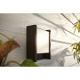 Philips Hue væglampe Fuzo sort 9,1 W LED IP44 22x17 cm 