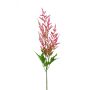 Emerald Astilbe pink 90 cm