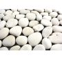 Mosaik Pebble natursten hvid 30,5 x 30,5 cm