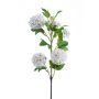 Emerald viburnum stilk creme 75 cm