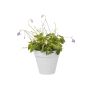 Elho urtepotte Loft Urban Green Wall hvid Ø15 cm
