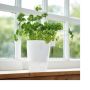 Elho urtepotte Brussels Herbs All-in-1 antracit Ø16 cm