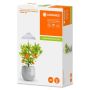 Ledvance LED-plantelampe Indoor Garden Umbrella USB 5 W Ø11 cm