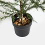 Nordic Winter cedertræ i potte 140 LED-lys 230V 120 cm 