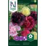 Nelson Garden frøblanding stokrose 'Summer Carnival'