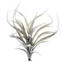 Emerald kunstig luftplante Tillandsia Stricta 24 cm