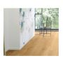 Parador vinylgulv Basic eg spirit natur 2,49 m²