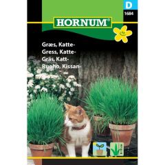 Hornum plantefrø Græs, Katte-