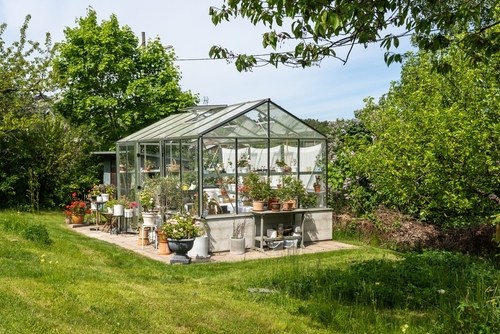 Billede af glasdrivhus i have